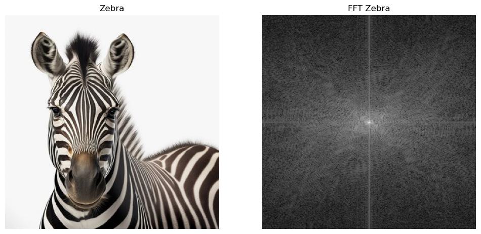 FFT Zebra