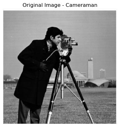 Original Image - Cameraman