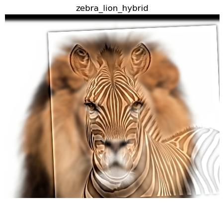 Lion Zebra Hybrid